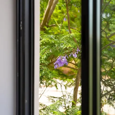 Apartamento Alvorferias Premium *