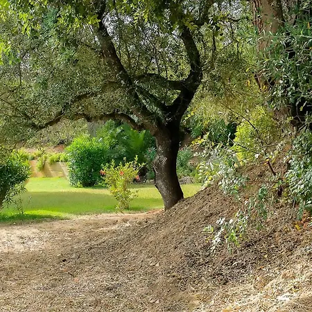 Alvorferias Premium Alvor